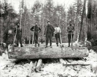 Upper Michigan circa 1899. The loggers.